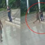 WhatsApp Image 2026-01-31 at 15.25.26