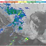 WhatsApp Image 2026-02-02 at 08.05.30