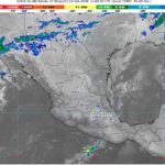 WhatsApp Image 2026-02-03 at 07.35.26