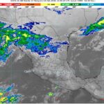 WhatsApp Image 2026-02-04 at 07.45.04