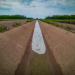 WhatsApp Image 2026-02-04 at 11.31.58