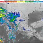 WhatsApp Image 2026-02-05 at 07.51.11