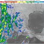 WhatsApp Image 2026-02-07 at 07.48.00