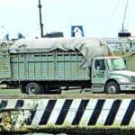 WhatsApp Image 2026-02-08 at 09.35.13