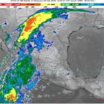 WhatsApp Image 2026-02-09 at 08.20.43