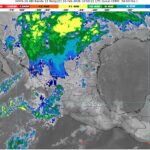 WhatsApp Image 2026-02-10 at 07.52.58