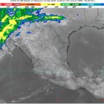 WhatsApp Image 2026-02-13 at 08.22.13