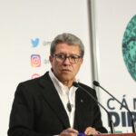 WhatsApp Image 2026-02-13 at 08.25.26