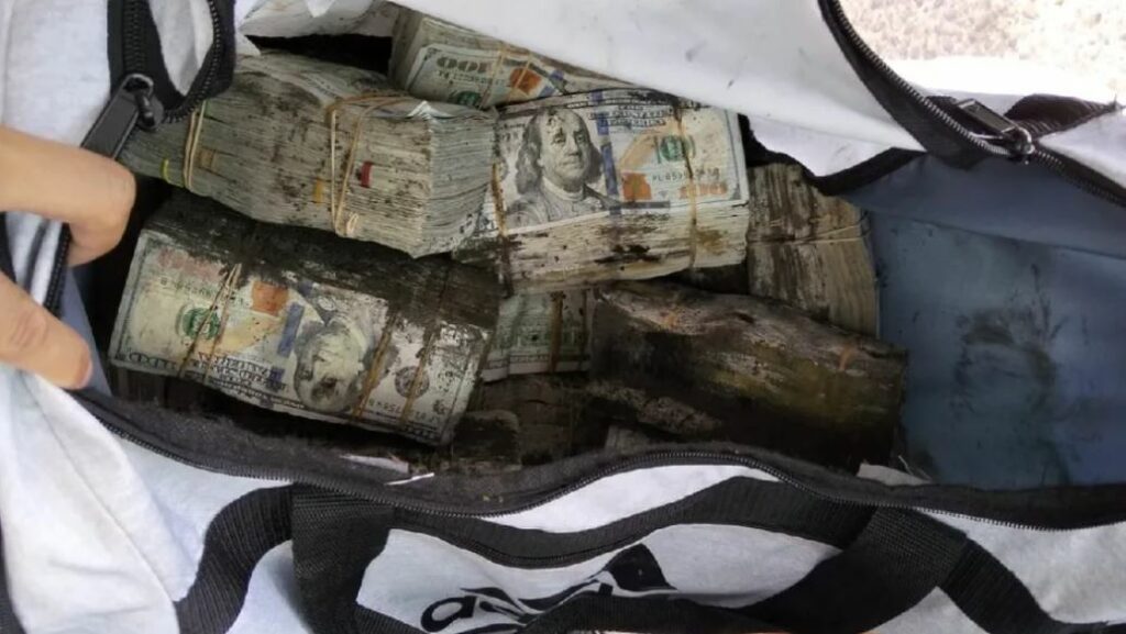 WhatsApp Image 2026-02-14 at 12.24.13