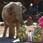 WhatsApp Image 2026-02-15 at 12.17.10