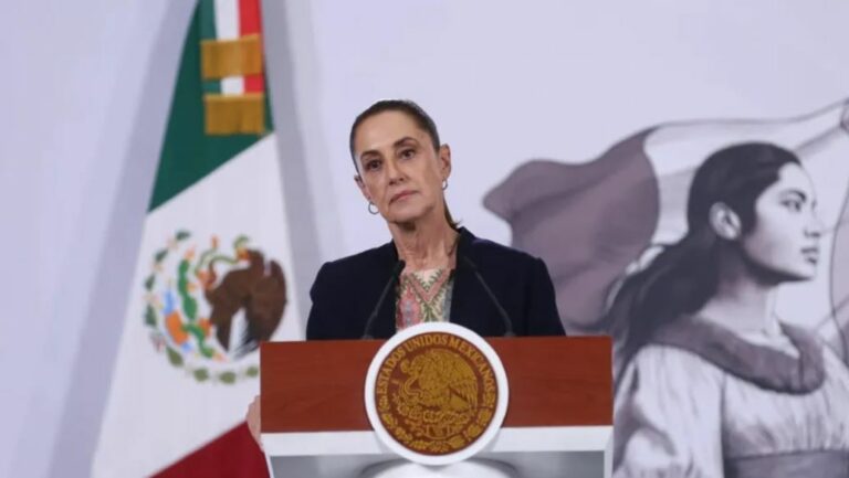 WhatsApp Image 2026-02-17 at 10.50.32