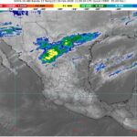 WhatsApp Image 2026-02-19 at 08.02.20