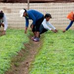 WhatsApp Image 2026-02-19 at 10.58.41