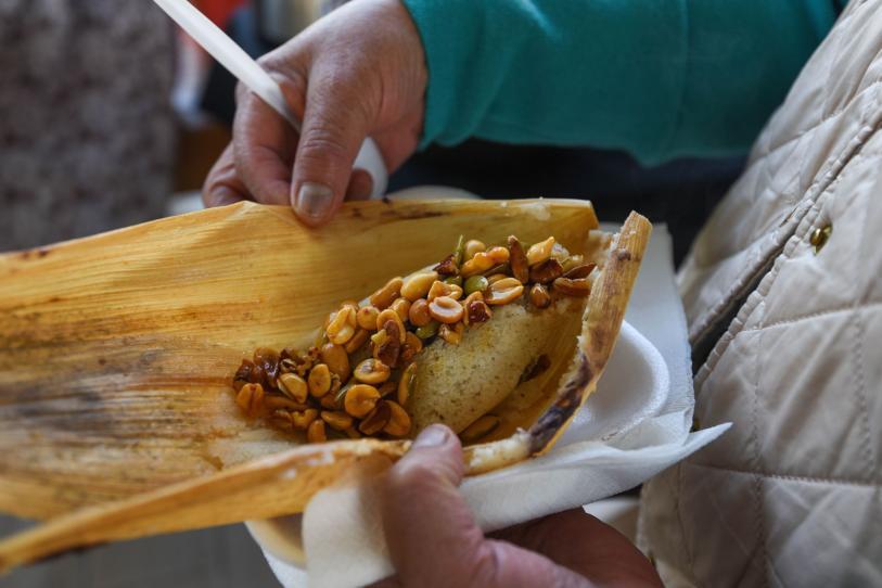 WhatsApp Image 2026-02-19 at 11.01.09