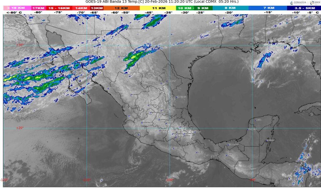 WhatsApp Image 2026-02-20 at 07.57.15