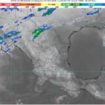 WhatsApp Image 2026-02-20 at 07.57.15