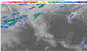 WhatsApp Image 2026-02-20 at 07.57.15