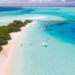 WhatsApp Image 2026-02-20 at 08.38.51