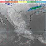 WhatsApp Image 2026-02-21 at 07.23.56