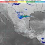 WhatsApp Image 2026-02-23 at 07.47.26