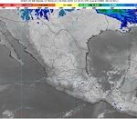 WhatsApp Image 2026-02-24 at 08.05.25