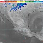 WhatsApp Image 2026-02-25 at 08.14.12