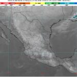 WhatsApp Image 2026-02-27 at 08.08.07