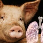 WhatsApp Image 2026-02-27 at 10.13.30