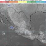 WhatsApp Image 2026-03-02 at 07.48.42