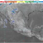 WhatsApp Image 2026-03-03 at 07.43.17