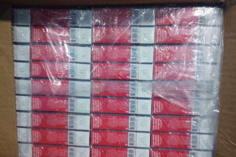 WhatsApp Image 2026-03-03 at 11.56.37