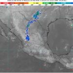 WhatsApp Image 2026-03-04 at 08.04.15