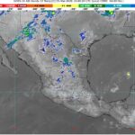 WhatsApp Image 2026-03-05 at 08.07.46