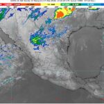 WhatsApp Image 2026-03-07 at 08.40.08