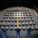 WhatsApp Image 2026-03-09 at 10.08.11