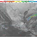 WhatsApp Image 2026-03-12 at 09.36.49