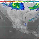 WhatsApp Image 2026-03-16 at 09.03.13