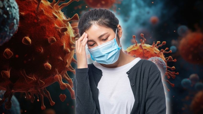 WhatsApp Image 2026-03-16 at 11.36.36