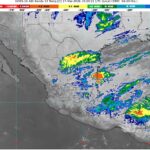 WhatsApp Image 2026-03-17 at 07.59.55