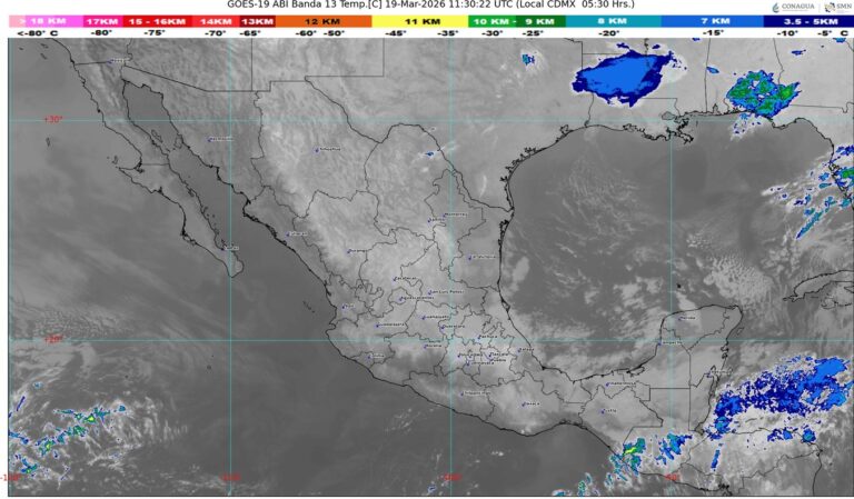 WhatsApp Image 2026-03-19 at 08.37.36