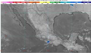 WhatsApp Image 2026-03-24 at 09.33.29