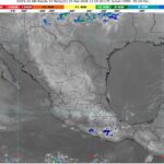 WhatsApp Image 2026-03-25 at 07.56.03