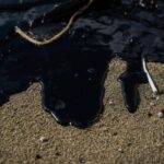 WhatsApp Image 2026-03-25 at 10.36.06