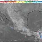 WhatsApp Image 2026-03-26 at 08.09.57