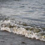 WhatsApp Image 2026-03-27 at 09.32.58