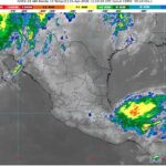 WhatsApp Image 2026-04-01 at 07.58.11