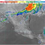 WhatsApp Image 2026-04-02 at 08.34.26