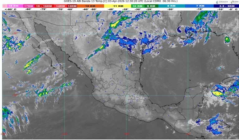 WhatsApp Image 2026-04-03 at 09.22.35