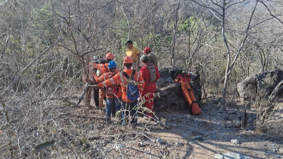 WhatsApp Image 2026-04-03 at 10.14.27