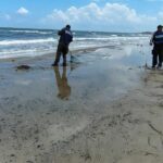 WhatsApp Image 2026-04-04 at 14.07.42